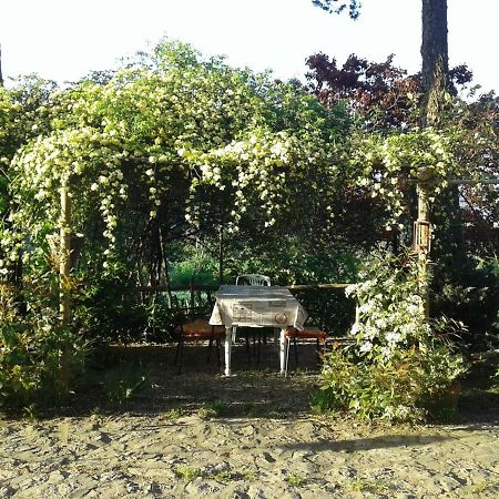 B&B Della Rosa Civitella D'Arna Экстерьер фото