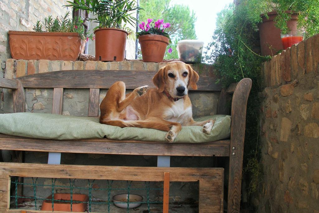 B&B Della Rosa Civitella D'Arna Экстерьер фото