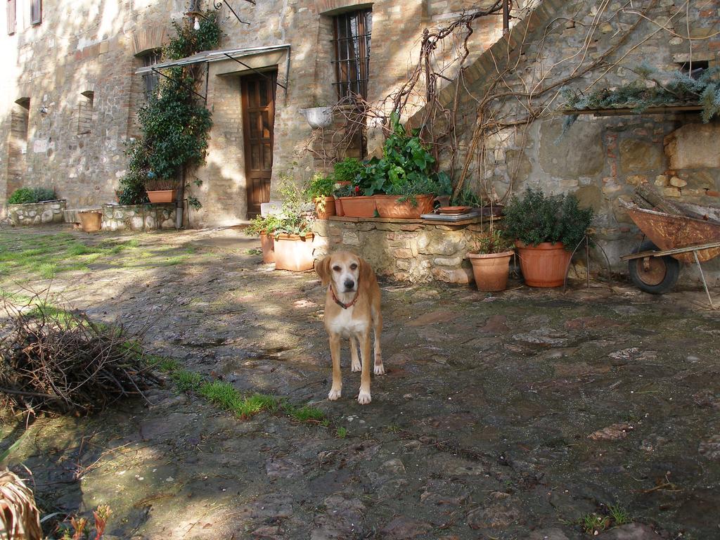 B&B Della Rosa Civitella D'Arna Экстерьер фото