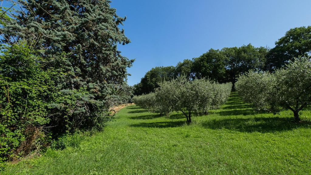B&B Della Rosa Civitella D'Arna Экстерьер фото